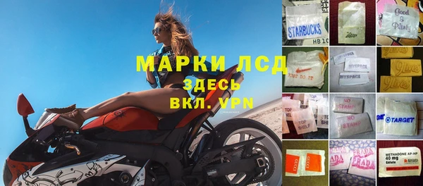 ECSTASY Дмитровск